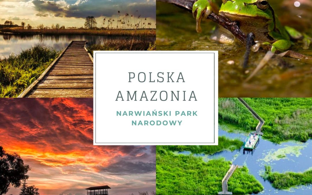 🔥 Nad polską Amazonką 🔥